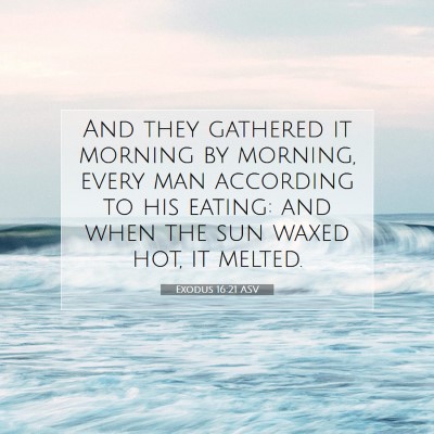 Picture 07 - Exodus 16:21 ASV - And they gathered it morning by morning, every - Bible Verse Picture
