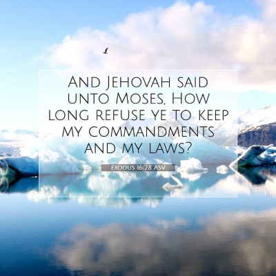 Picture 07 - Exodus 16:28 ASV - And Jehovah said unto Moses, How long refuse ye - Bible Verse Picture