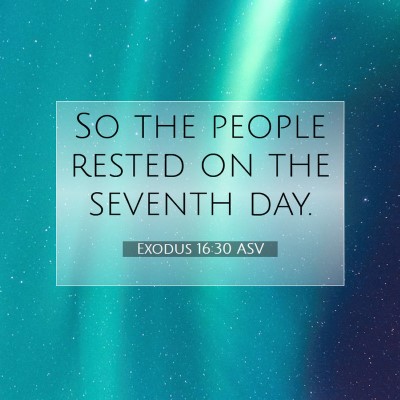 Picture 07 - Exodus 16:30 ASV - So the people rested on the seventh - Bible Verse Picture