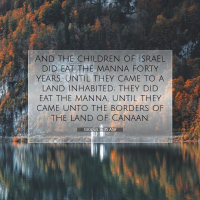 Picture 07 - Exodus 16:35 ASV - And the children of Israel did eat the manna - Bible Verse Picture