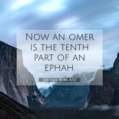 Picture 07 - Exodus 16:36 ASV - Now an omer is the tenth part of an - Bible Verse Picture