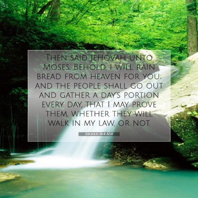 Picture 07 - Exodus 16:4 ASV - Then said Jehovah unto Moses, Behold, I will rain - Bible Verse Picture