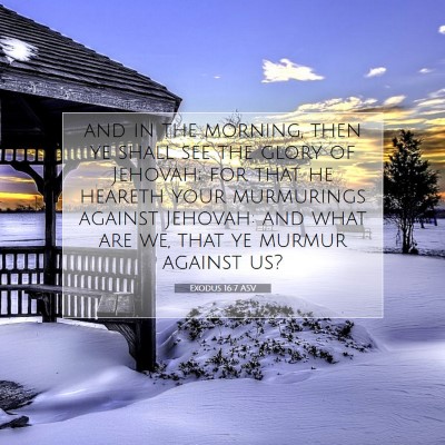 Picture 07 - Exodus 16:7 ASV - and in the morning, then ye shall see the glory - Bible Verse Picture