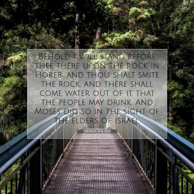 Picture 07 - Exodus 17:6 ASV - Behold, I will stand before thee there upon the - Bible Verse Picture