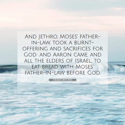 Picture 07 - Exodus 18:12 ASV - And Jethro, Moses' father-in-law, took a - Bible Verse Picture