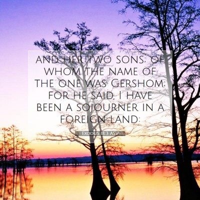 Picture 07 - Exodus 18:3 ASV - and her two sons; of whom the name of the one was - Bible Verse Picture