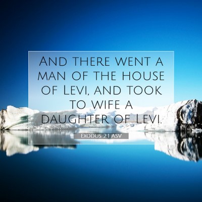 Picture 07 - Exodus 2:1 ASV - And there went a man of the house of Levi, and - Bible Verse Picture