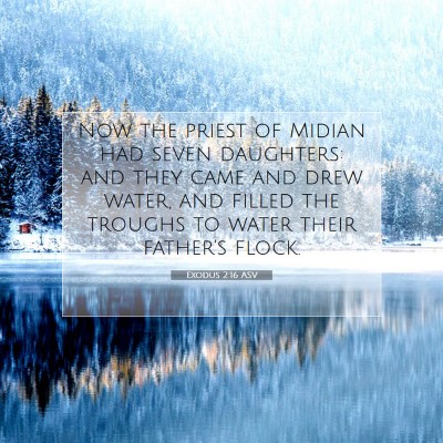 Picture 07 - Exodus 2:16 ASV - Now the priest of Midian had seven daughters: and - Bible Verse Picture