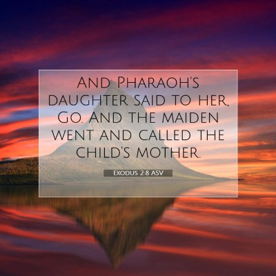 Picture 07 - Exodus 2:8 ASV - And Pharaoh's daughter said to her, Go. And the - Bible Verse Picture