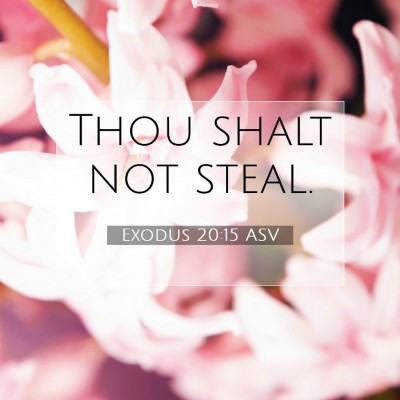 Picture 07 - Exodus 20:15 ASV - Thou shalt not - Bible Verse Picture