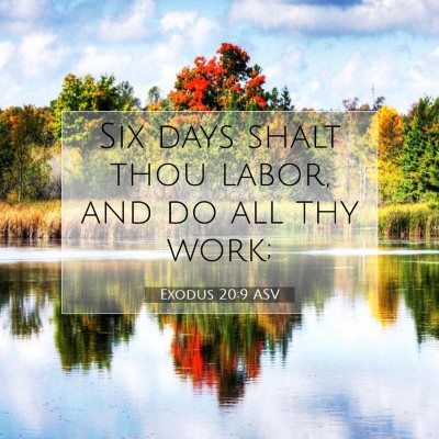 Picture 07 - Exodus 20:9 ASV - Six days shalt thou labor, and do all thy - Bible Verse Picture