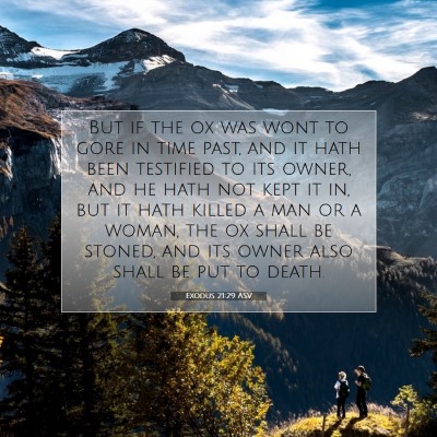 Picture 07 - Exodus 21:29 ASV - But if the ox was wont to gore in time past, and - Bible Verse Picture