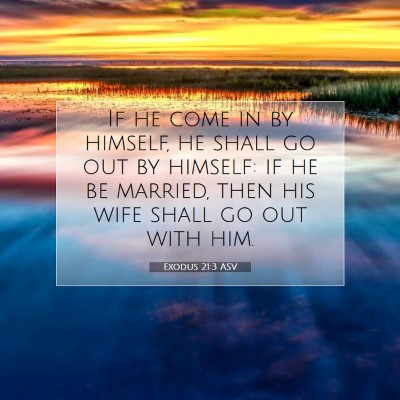 Picture 07 - Exodus 21:3 ASV - If he come in by himself, he shall go out by - Bible Verse Picture