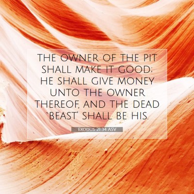 Picture 07 - Exodus 21:34 ASV - the owner of the pit shall make it good; he shall - Bible Verse Picture