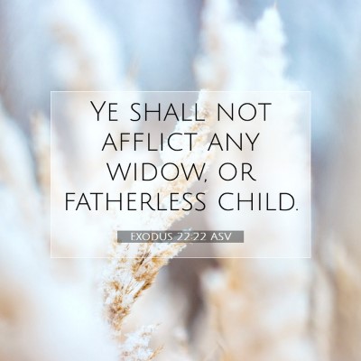 Picture 07 - Exodus 22:22 ASV - Ye shall not afflict any widow, or fatherless - Bible Verse Picture