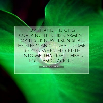 Picture 07 - Exodus 22:27 ASV - for that is his only covering, it is his garment - Bible Verse Picture
