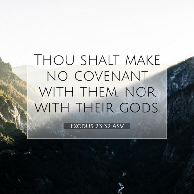 Picture 07 - Exodus 23:32 ASV - Thou shalt make no covenant with them, nor with - Bible Verse Picture