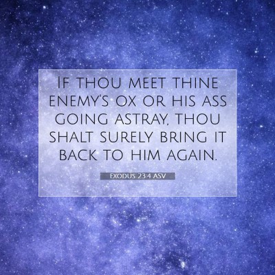 Picture 07 - Exodus 23:4 ASV - If thou meet thine enemy's ox or his ass going - Bible Verse Picture