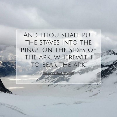 Picture 07 - Exodus 25:14 ASV - And thou shalt put the staves into the rings on - Bible Verse Picture