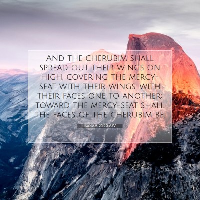 Picture 07 - Exodus 25:20 ASV - And the cherubim shall spread out their wings on - Bible Verse Picture