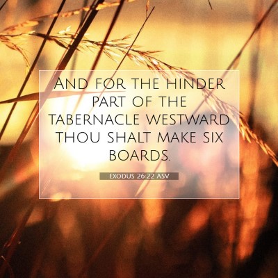 Picture 07 - Exodus 26:22 ASV - And for the hinder part of the tabernacle - Bible Verse Picture