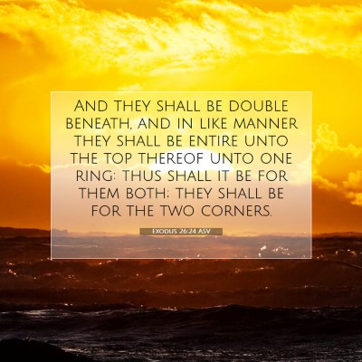 Picture 07 - Exodus 26:24 ASV - And they shall be double beneath, and in like - Bible Verse Picture