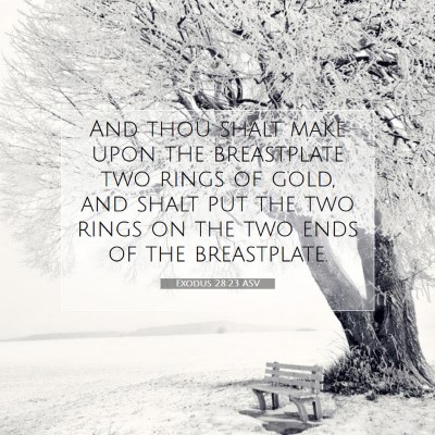 Picture 07 - Exodus 28:23 ASV - And thou shalt make upon the breastplate two - Bible Verse Picture
