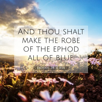 Picture 07 - Exodus 28:31 ASV - And thou shalt make the robe of the ephod all of - Bible Verse Picture