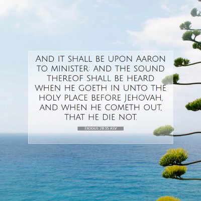 Picture 07 - Exodus 28:35 ASV - And it shall be upon Aaron to minister: and the - Bible Verse Picture