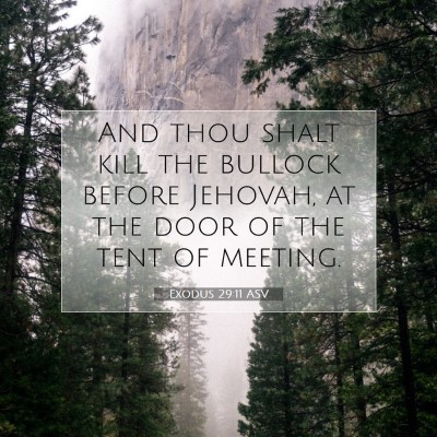 Picture 07 - Exodus 29:11 ASV - And thou shalt kill the bullock before Jehovah, - Bible Verse Picture