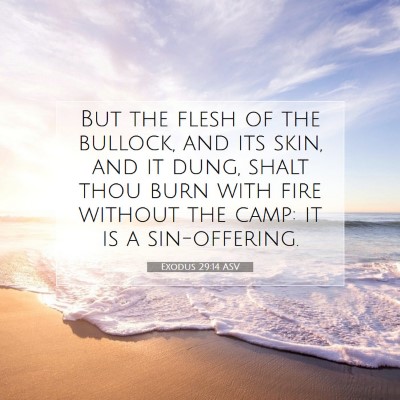 Picture 07 - Exodus 29:14 ASV - But the flesh of the bullock, and its skin, and - Bible Verse Picture