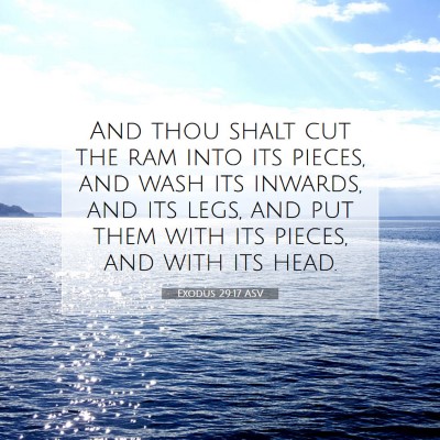 Picture 07 - Exodus 29:17 ASV - And thou shalt cut the ram into its pieces, and - Bible Verse Picture