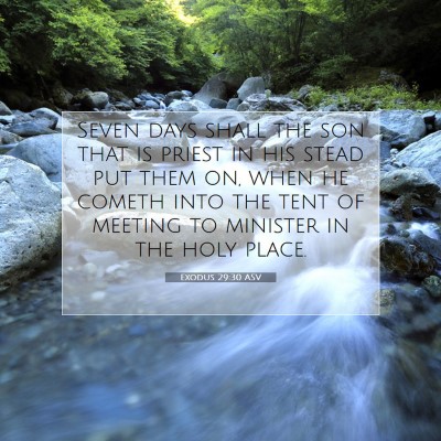 Picture 07 - Exodus 29:30 ASV - Seven days shall the son that is priest in his - Bible Verse Picture