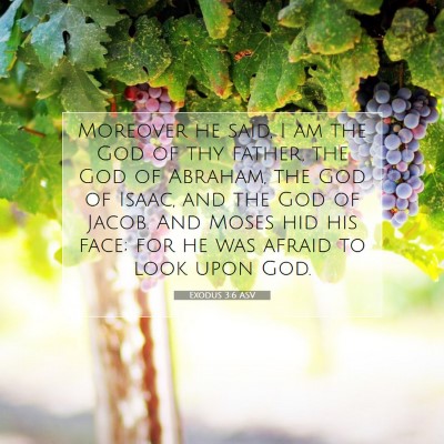 Picture 07 - Exodus 3:6 ASV - Moreover he said, I am the God of thy father, the - Bible Verse Picture