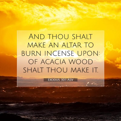Picture 07 - Exodus 30:1 ASV - And thou shalt make an altar to burn incense - Bible Verse Picture