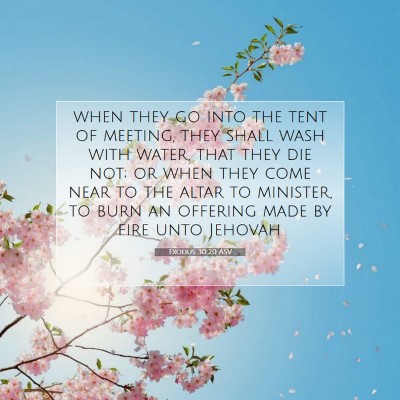 Picture 07 - Exodus 30:20 ASV - when they go into the tent of meeting, they shall - Bible Verse Picture