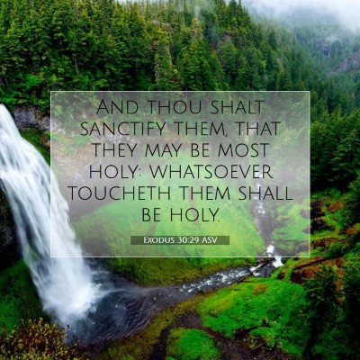 Picture 07 - Exodus 30:29 ASV - And thou shalt sanctify them, that they may be - Bible Verse Picture