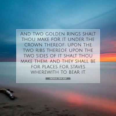 Picture 07 - Exodus 30:4 ASV - And two golden rings shalt thou make for it under - Bible Verse Picture