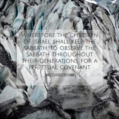 Picture 07 - Exodus 31:16 ASV - Wherefore the children of Israel shall keep the - Bible Verse Picture