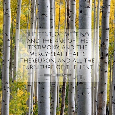 Picture 07 - Exodus 31:7 ASV - the tent of meeting, and the ark of the - Bible Verse Picture