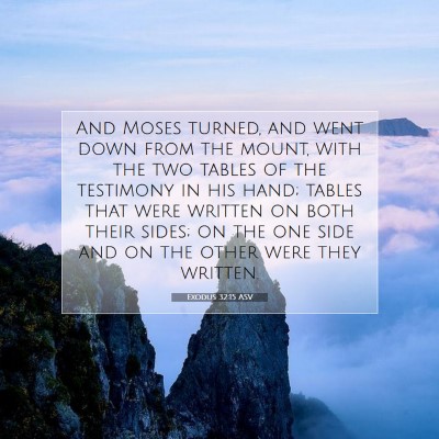 Picture 07 - Exodus 32:15 ASV - And Moses turned, and went down from the mount, - Bible Verse Picture