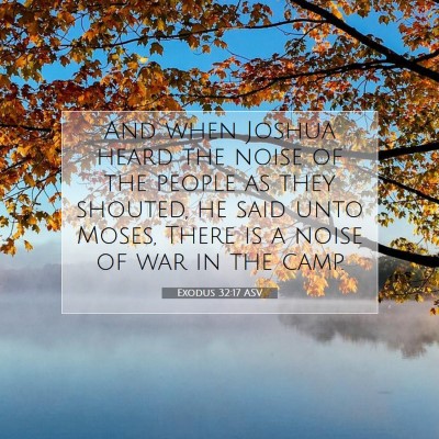 Picture 07 - Exodus 32:17 ASV - And when Joshua heard the noise of the people as - Bible Verse Picture