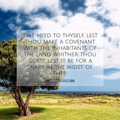 Picture 07 - Exodus 34:12 ASV - Take heed to thyself, lest thou make a covenant - Bible Verse Picture