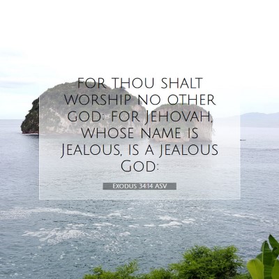 Picture 07 - Exodus 34:14 ASV - for thou shalt worship no other god: for Jehovah, - Bible Verse Picture