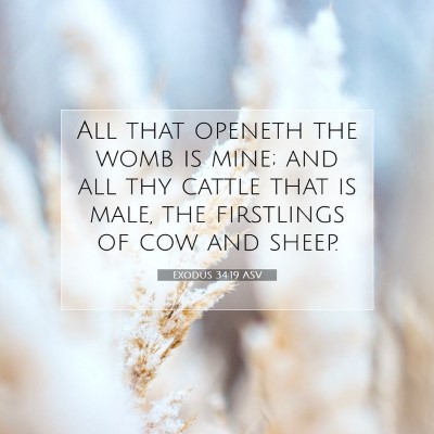 Picture 07 - Exodus 34:19 ASV - All that openeth the womb is mine; and all thy - Bible Verse Picture