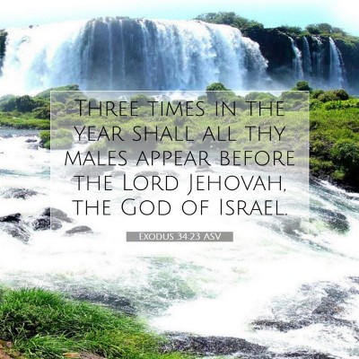 Picture 07 - Exodus 34:23 ASV - Three times in the year shall all thy males - Bible Verse Picture