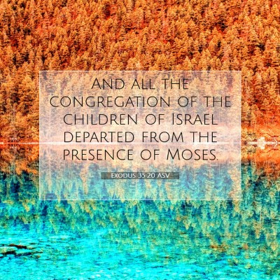 Picture 07 - Exodus 35:20 ASV - And all the congregation of the children of - Bible Verse Picture