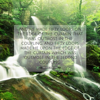 Picture 07 - Exodus 36:17 ASV - And he made fifty loops on the edge of the - Bible Verse Picture