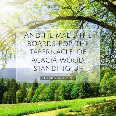 Picture 07 - Exodus 36:20 ASV - And he made the boards for the tabernacle, of - Bible Verse Picture