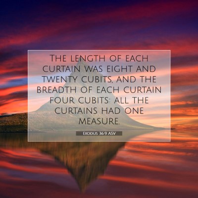 Picture 07 - Exodus 36:9 ASV - The length of each curtain was eight and twenty - Bible Verse Picture